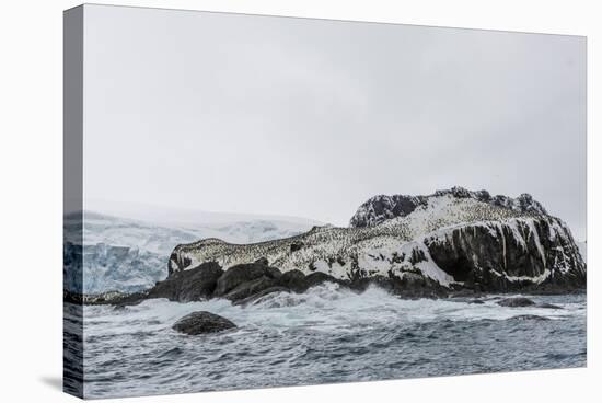 Chinstrap Breeding Colony at Point Wild, Elephant Island, South Shetland Islands, Antarctica-Michael Nolan-Stretched Canvas