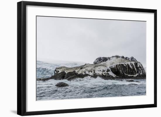 Chinstrap Breeding Colony at Point Wild, Elephant Island, South Shetland Islands, Antarctica-Michael Nolan-Framed Photographic Print