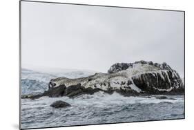 Chinstrap Breeding Colony at Point Wild, Elephant Island, South Shetland Islands, Antarctica-Michael Nolan-Mounted Photographic Print