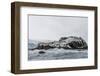 Chinstrap Breeding Colony at Point Wild, Elephant Island, South Shetland Islands, Antarctica-Michael Nolan-Framed Photographic Print