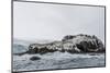 Chinstrap Breeding Colony at Point Wild, Elephant Island, South Shetland Islands, Antarctica-Michael Nolan-Mounted Photographic Print