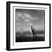 Chinstrap Penguin, Antarctica-Paul Souders-Framed Photographic Print