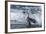 Chinstrap Penguin, Deception Island, Antarctica-Paul Souders-Framed Photographic Print