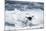 Chinstrap Penguin, Deception Island, Antarctica-Paul Souders-Mounted Photographic Print