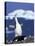 Chinstrap Penguin, Ecstatic Display, South Sandwich Is-Peter Oxford-Stretched Canvas