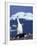 Chinstrap Penguin, Ecstatic Display, South Sandwich Is-Peter Oxford-Framed Photographic Print