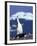 Chinstrap Penguin, Ecstatic Display, South Sandwich Is-Peter Oxford-Framed Photographic Print