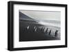 Chinstrap penguin group (Pygoscelis antarctica), Saunders island, South Sandwich Islands, Antarctic-Michael Runkel-Framed Photographic Print