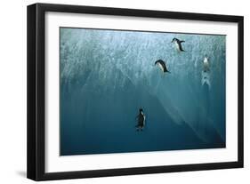 Chinstrap Penguin Jumping Off Blue Iceberg-null-Framed Photographic Print