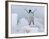 Chinstrap Penguin jumping on ice, South Orkney Islands, Antarctica-Keren Su-Framed Photographic Print