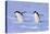 Chinstrap Penguin (Pygoscelis antarctica) two adults, walking on snow, Antarctic Peninsula-Jurgen & Christine Sohns-Stretched Canvas