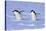 Chinstrap Penguin (Pygoscelis antarctica) two adults, walking on snow, Antarctic Peninsula-Jurgen & Christine Sohns-Stretched Canvas