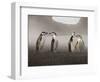 Chinstrap Penguin. Whaler's Bay, Deception Island. Antarctica.-Tom Norring-Framed Photographic Print