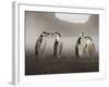 Chinstrap Penguin. Whaler's Bay, Deception Island. Antarctica.-Tom Norring-Framed Photographic Print