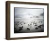 Chinstrap Penguins, Antarctica-Paul Souders-Framed Photographic Print