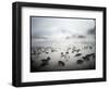 Chinstrap Penguins, Antarctica-Paul Souders-Framed Photographic Print