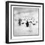 Chinstrap Penguins, Antarctica-Paul Souders-Framed Photographic Print