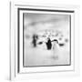 Chinstrap Penguins, Antarctica-Paul Souders-Framed Photographic Print