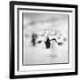 Chinstrap Penguins, Antarctica-Paul Souders-Framed Photographic Print