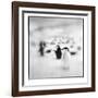 Chinstrap Penguins, Antarctica-Paul Souders-Framed Photographic Print