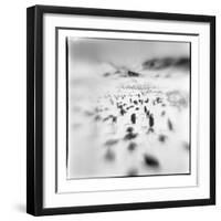 Chinstrap Penguins, Antarctica-Paul Souders-Framed Photographic Print