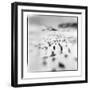 Chinstrap Penguins, Antarctica-Paul Souders-Framed Photographic Print