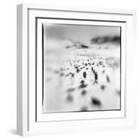 Chinstrap Penguins, Antarctica-Paul Souders-Framed Photographic Print