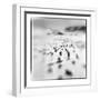 Chinstrap Penguins, Antarctica-Paul Souders-Framed Photographic Print