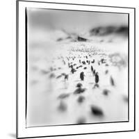 Chinstrap Penguins, Antarctica-Paul Souders-Mounted Photographic Print