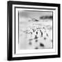 Chinstrap Penguins, Antarctica-Paul Souders-Framed Photographic Print