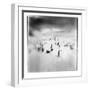 Chinstrap Penguins, Antarctica-Paul Souders-Framed Photographic Print