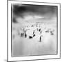 Chinstrap Penguins, Antarctica-Paul Souders-Mounted Photographic Print