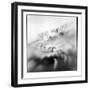 Chinstrap Penguins climbing down a slope, Deception Island, Antarctica-Paul Souders-Framed Photographic Print
