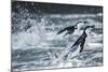 Chinstrap Penguins, Deception Island, Antarctica-Paul Souders-Mounted Photographic Print