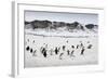 Chinstrap Penguins, Deception Island, Antarctica-Paul Souders-Framed Photographic Print