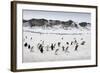 Chinstrap Penguins, Deception Island, Antarctica-Paul Souders-Framed Photographic Print