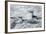 Chinstrap Penguins on Deception Island, Antarctica-Paul Souders-Framed Photographic Print