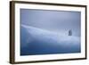 Chinstrap Penguins Standing on Ice-DLILLC-Framed Photographic Print