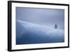 Chinstrap Penguins Standing on Ice-DLILLC-Framed Photographic Print