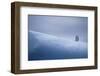 Chinstrap Penguins Standing on Ice-DLILLC-Framed Photographic Print