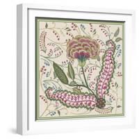 Chintz Composition I-Melissa Wang-Framed Art Print