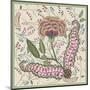 Chintz Composition I-Melissa Wang-Mounted Art Print