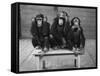 Chipanzees Not Hearing, Seeing or Speaking Evil-null-Framed Stretched Canvas