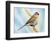 Chiping Sparrow-Angeles M Pomata-Framed Giclee Print