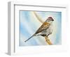 Chiping Sparrow-Angeles M Pomata-Framed Giclee Print