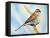Chiping Sparrow-Angeles M Pomata-Framed Stretched Canvas