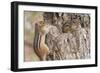 Chipmunk-Gary Carter-Framed Photographic Print