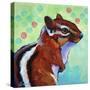 Chipmunk-Corina St. Martin-Stretched Canvas