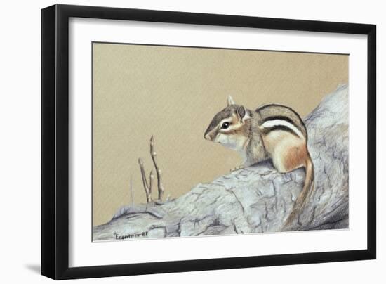 Chipmunk-Rusty Frentner-Framed Giclee Print