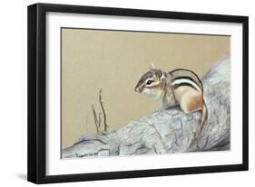 Chipmunk-Rusty Frentner-Framed Giclee Print